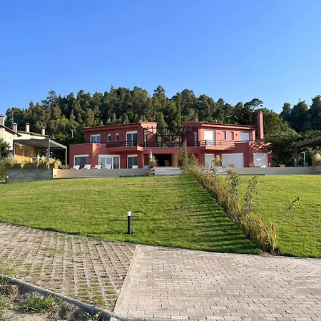 Twin By Diomedes Group